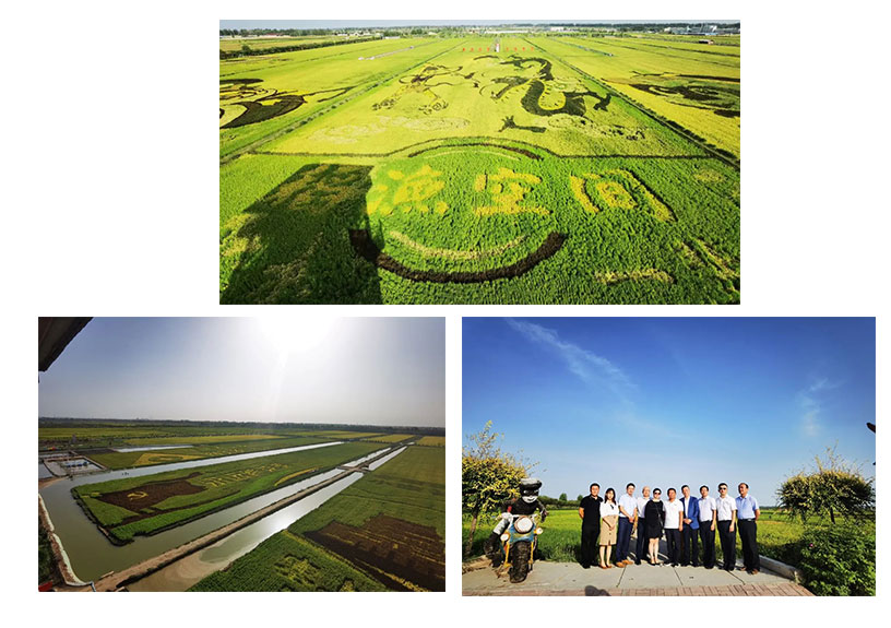 遠(yuǎn)瓴數(shù)據(jù)集團(tuán)與銀川市人民政府交流座談活動圓滿結(jié)束